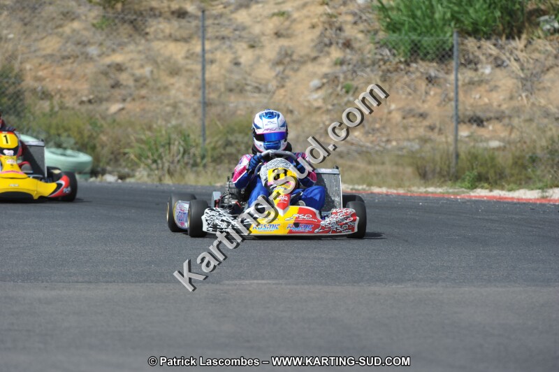 DSC (3207).JPG